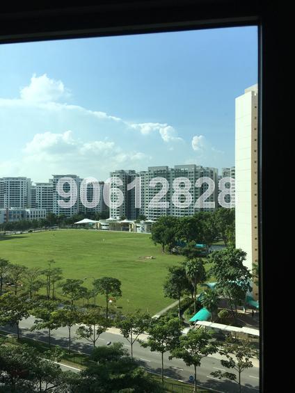 Blk 162B Punggol Central (Punggol), HDB 5 Rooms #149540142